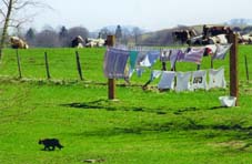 Linge (Haut Doubs)